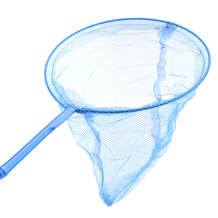 Фото к товару Сачок U036848Y (60/20 см.) (цвет в ассортименте) Сачок U036848Y (60/20 см.) (цвет в ассортименте)