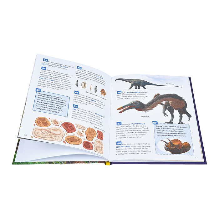 Фото к товару Динозавры. Энциклопедия российского школьника Динозавры. Энциклопедия российского школьника