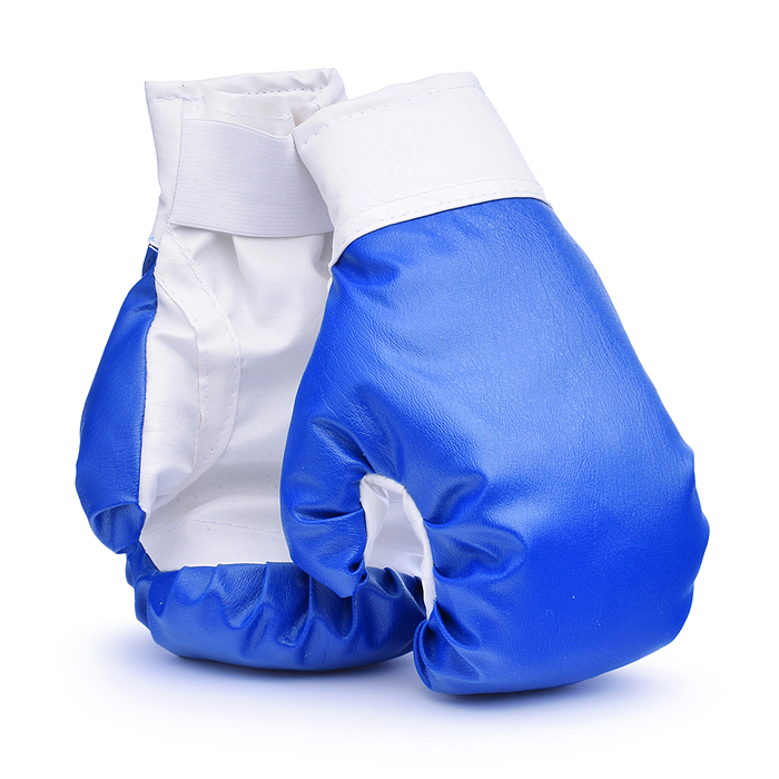 Набор детский игровой "Я-Чемпион" 8кг синий (перчатки, груша)