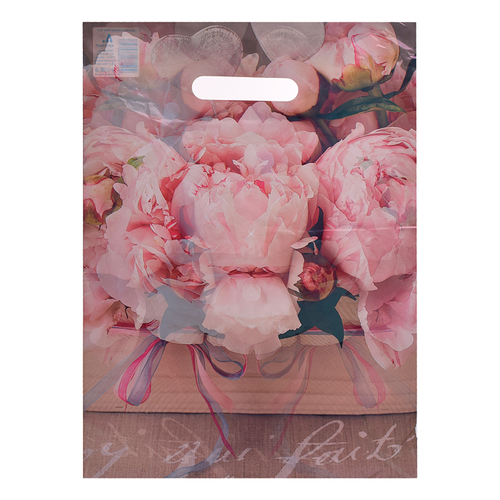 Пакет ПЭ с вырубной ручкой 29х40 (пл.35) (Бенефис) Пакет ПЭ с вырубной ручкой 29х40 (пл.35) (Бенефис)