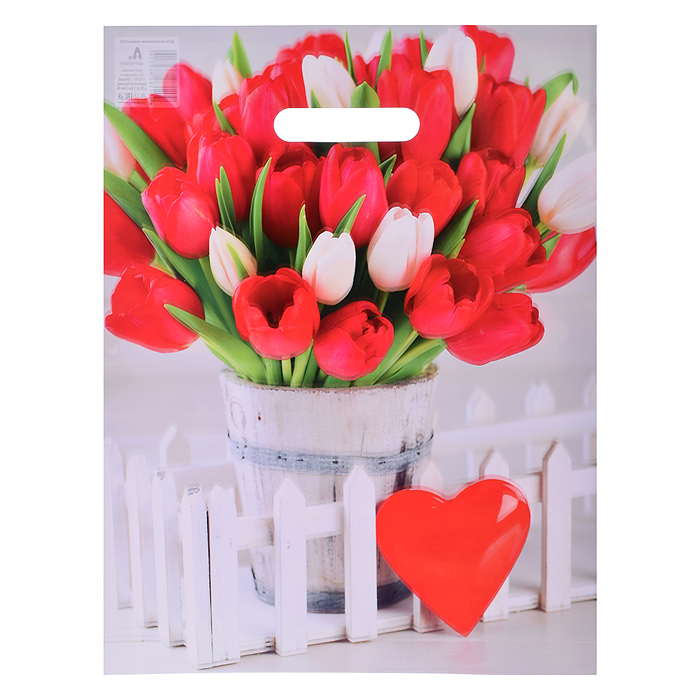 Пакет с вырубной ручкой 31х40см (60) (Белиция) Глянцевый Пакет с вырубной ручкой 31х40см (60) (Белиция) Глянцевый