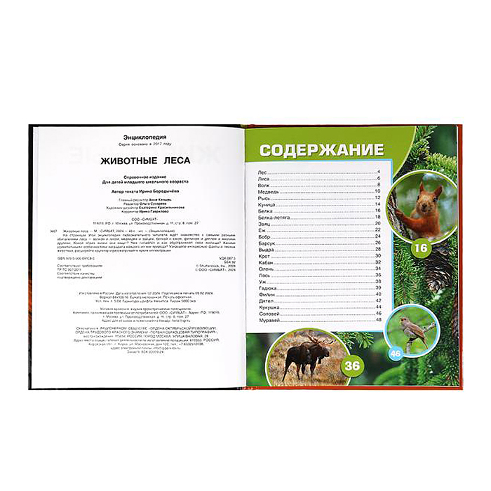Фото к товару Животные леса. Энциклопедия. Животные леса. Энциклопедия.