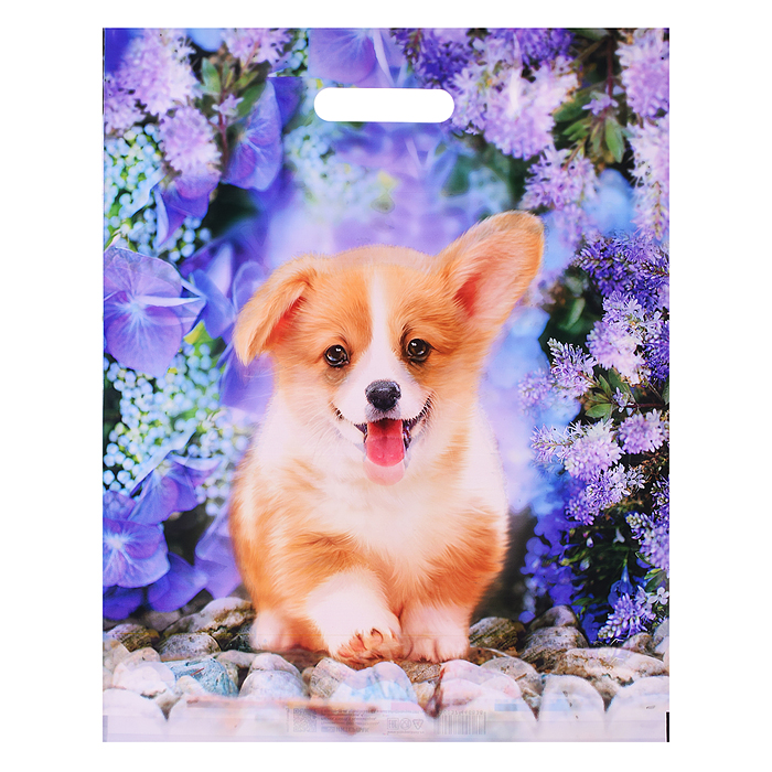 Пакет ПЭ с вырубной ручкой 38х47+6см (60) (Рыжик) ламинированный Интерпак Пакет ПЭ с вырубной ручкой 38х47+6см (60) (Рыжик) ламинированный Интерпак