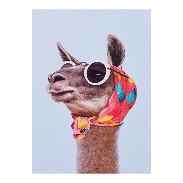 Фото к товару Мозаика 00-4415 "Модная лама" 20*30см Мозаика 00-4415 "Модная лама" 20*30см