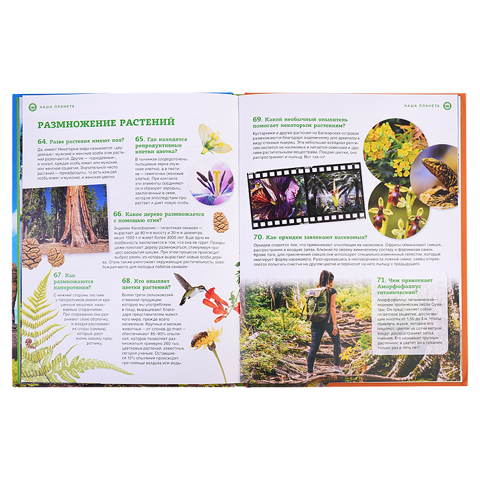 Фото к товару Школьная энциклопедия. Наша планета: загадочные и удивительные факты Школьная энциклопедия. Наша планета: загадочные и удивительные факты