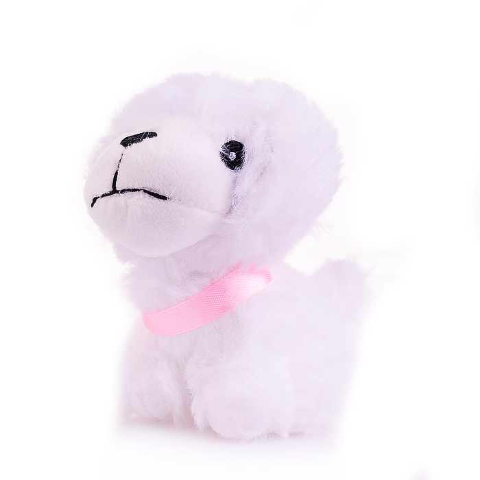 Игровой набор 8362WB "Питомец" в коробке 