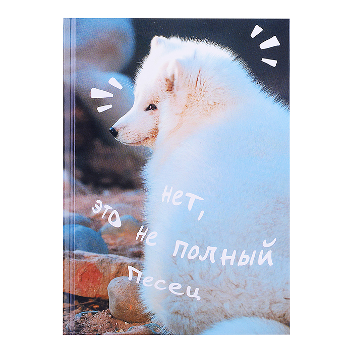 Книги для записей А5 "Песец" (145х210) 80л. 7БЦ, глянцевая ламинация. Книги для записей А5 "Песец" (145х210) 80л. 7БЦ, глянцевая ламинация.