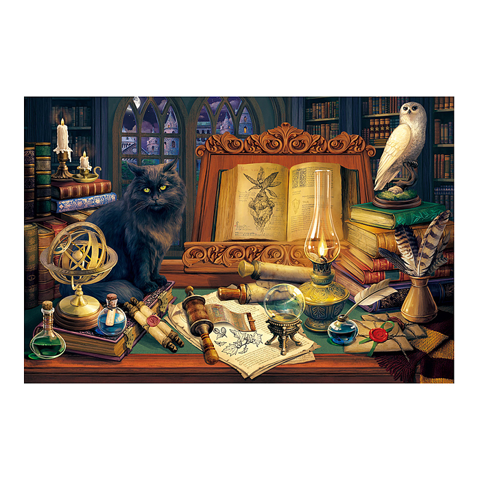 Фото к товару Холст с красками 40х50 по номерам "Магический натюрморт" (30цв.) Холст с красками 40х50 по номерам "Магический натюрморт" (30цв.)