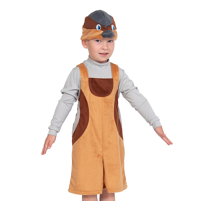 Изделие швейное "Набор карнавальный "Воробей" плюш дет. р-р S (3-6 лет, рост 98-116см) Изделие швейное "Набор карнавальный "Воробей" плюш дет. р-р S (3-6 лет, рост 98-116см)