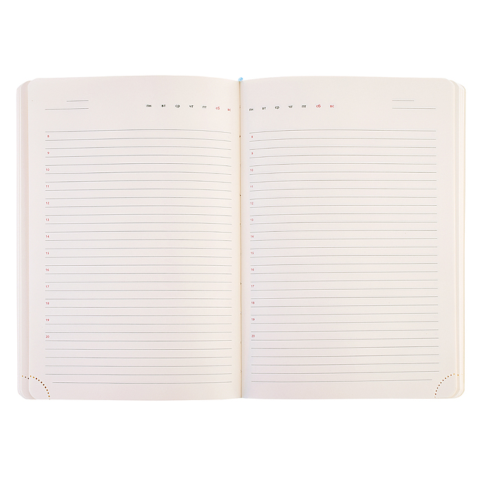 Фото к товару Ежедневник недатированный "Mentality. Возможно всё!" A5 (145 ммx205 мм) белый перламутровый Ежедневник недатированный "Mentality. Возможно всё!" A5 (145 ммx205 мм) белый перламутровый