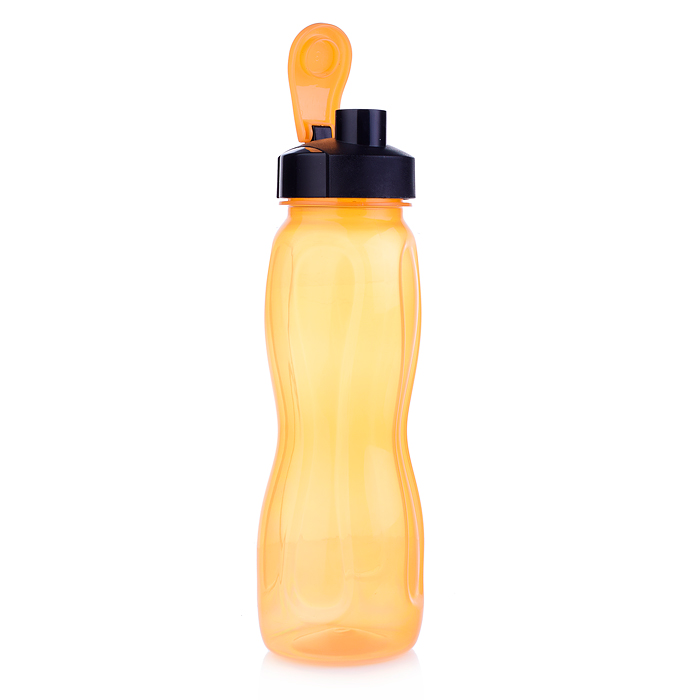 Фото к товару Бутылочка для воды и др напитков 550 мл, в ассорти. Бутылочка для воды и др напитков 550 мл, в ассорти.
