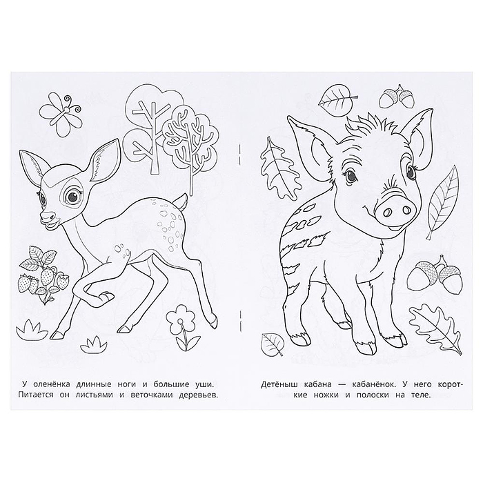 Лесные животные. Раскраска. 