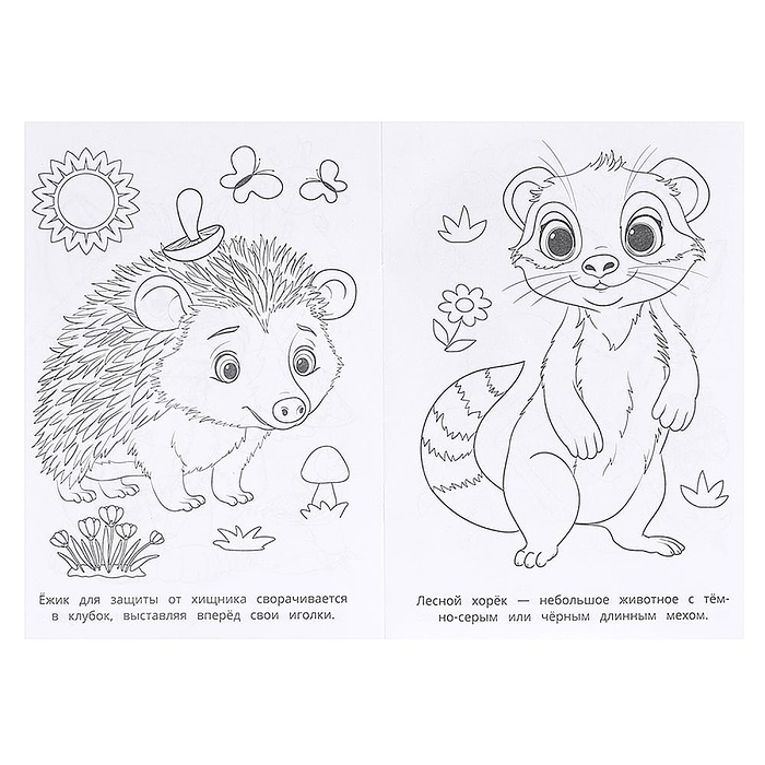 Лесные животные. Раскраска. 