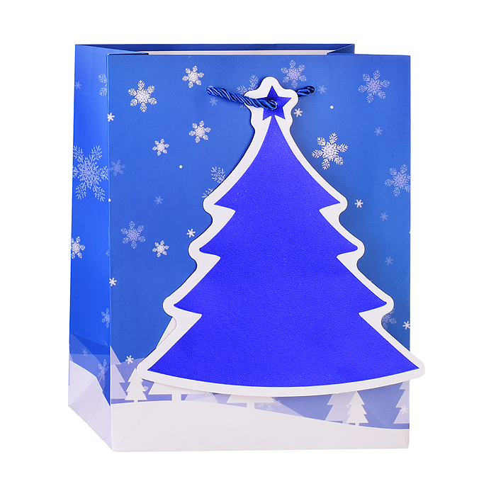 Фото к товару Пакет подарочный 00-4811 "Сказочный Новый год!" 18*23*10см. Пакет подарочный 00-4811 "Сказочный Новый год!" 18*23*10см.