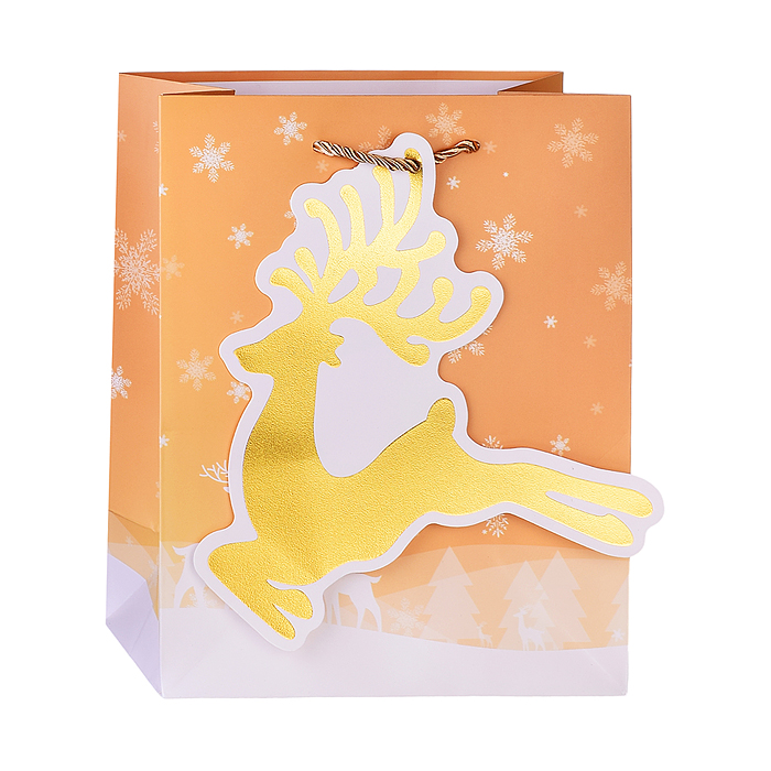 Фото к товару Пакет подарочный 00-4811 "Сказочный Новый год!" 18*23*10см. Пакет подарочный 00-4811 "Сказочный Новый год!" 18*23*10см.