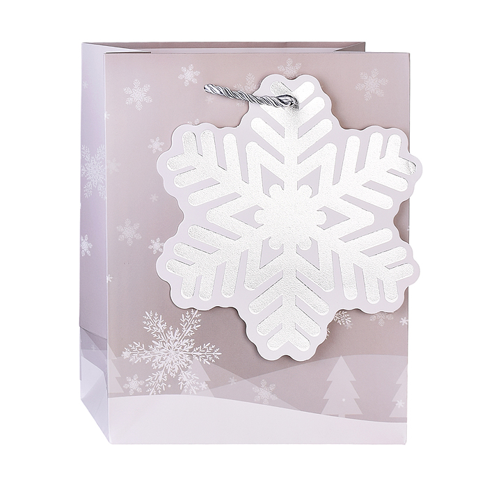 Фото к товару Пакет подарочный 00-4811 "Сказочный Новый год!" 18*23*10см. Пакет подарочный 00-4811 "Сказочный Новый год!" 18*23*10см.