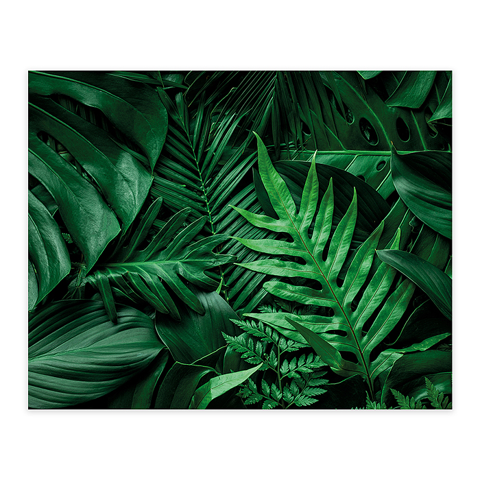 Картина на холсте с подрамником 50х40 "Тропическая свежесть растений"