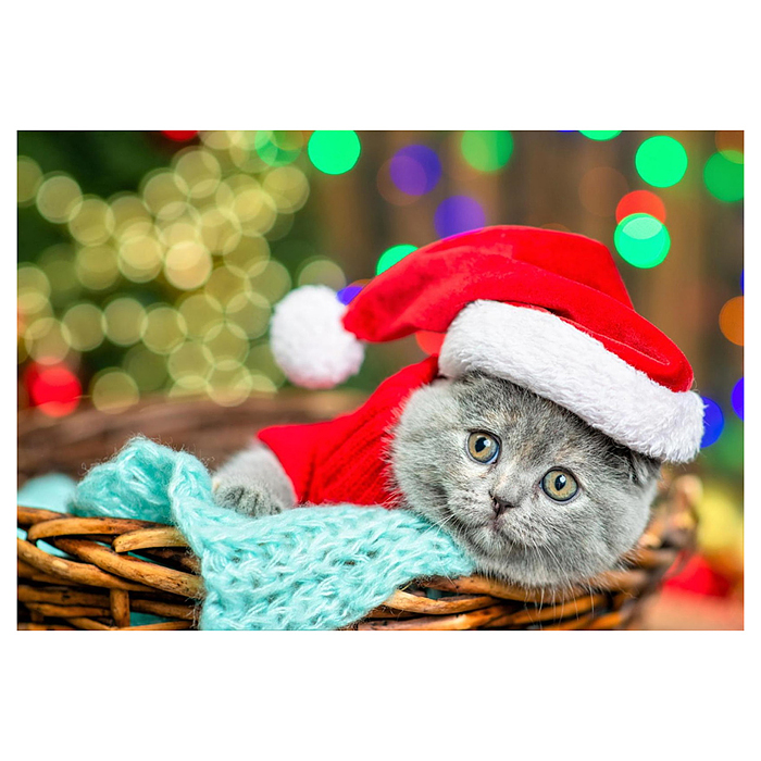 Фото к товару Алмазная мозаика 30х40 "Котик в корзине" без подр., с полн. заполн. (28 цв.) (блест.) Алмазная мозаика 30х40 "Котик в корзине" без подр., с полн. заполн. (28 цв.) (блест.)