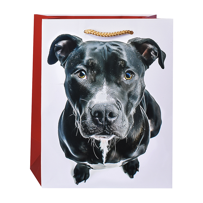 Пакет подарочный "Черный пес" ламированный 18х23см, веревочные ручки Пакет подарочный "Черный пес" ламированный 18х23см, веревочные ручки