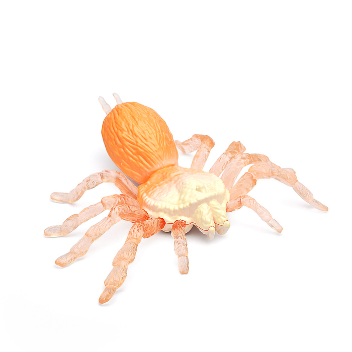 Фото к товару Паук с тянущимися конечностями LEGS FLEX 4 цв.в асс., блистер в пакете Паук с тянущимися конечностями LEGS FLEX 4 цв.в асс., блистер в пакете