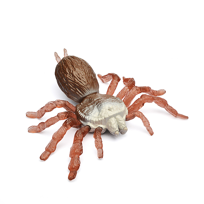 Фото к товару Паук с тянущимися конечностями LEGS FLEX 4 цв.в асс., блистер в пакете Паук с тянущимися конечностями LEGS FLEX 4 цв.в асс., блистер в пакете