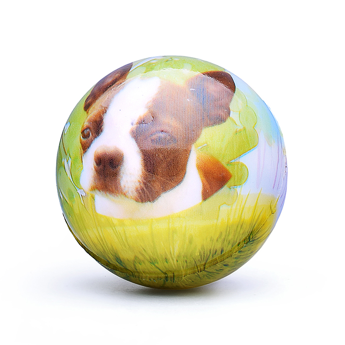 Фото к товару Мяч мягкий 00-5036 "Собачка" (5 см) в пакете Мяч мягкий 00-5036 "Собачка" (5 см) в пакете