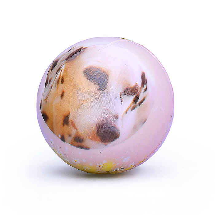 Фото к товару Мяч мягкий 00-5036 "Собачка" (5 см) в пакете Мяч мягкий 00-5036 "Собачка" (5 см) в пакете