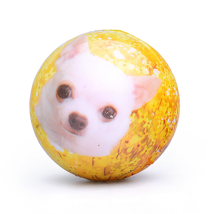 Фото к товару Мяч мягкий 00-5036 "Собачка" (5 см) в пакете Мяч мягкий 00-5036 "Собачка" (5 см) в пакете