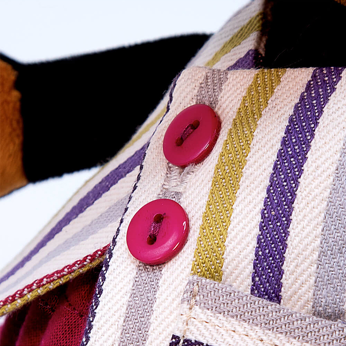 Собака Ваксон BABY в полосатом жилете