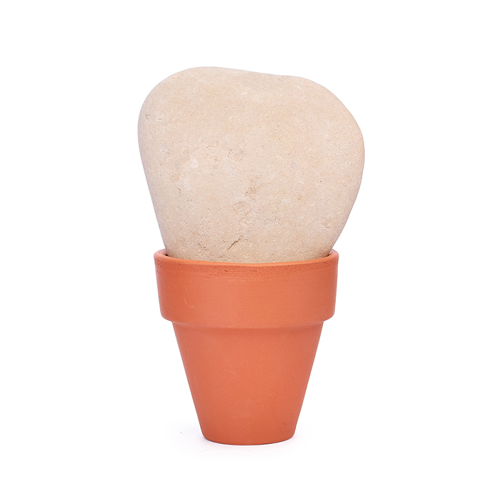 Фото к товару Набор для творчества. Роспись по камням "Кактус в горшочке" Набор для творчества. Роспись по камням "Кактус в горшочке"