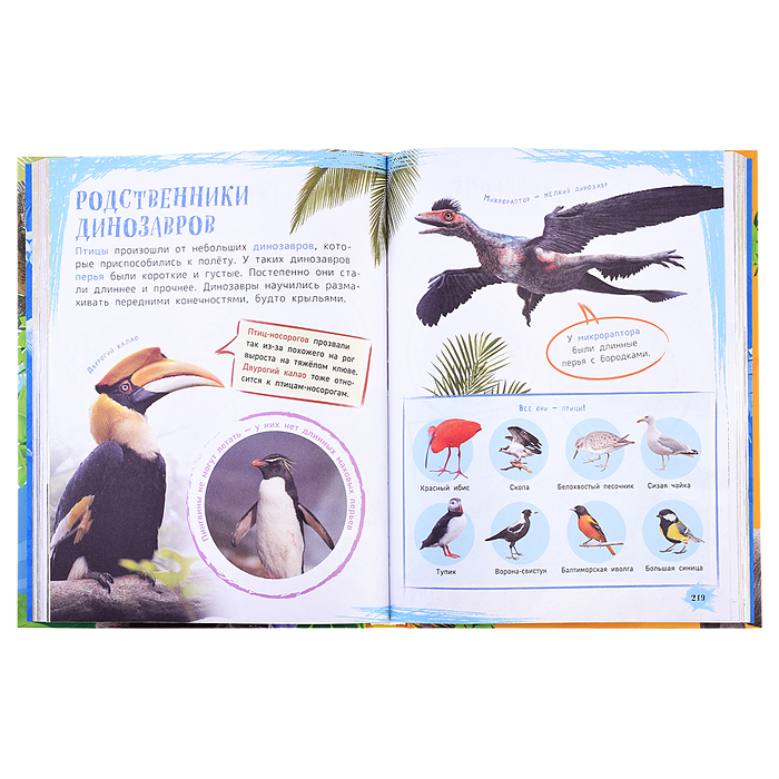 Главная энциклопедия дошкольника