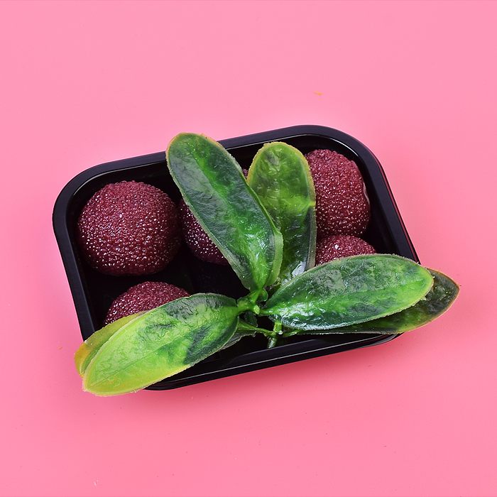 Фото к товару Игрушка -антистресс 00-5509 "Ягодки с листочками" в пакете Игрушка -антистресс 00-5509 "Ягодки с листочками" в пакете