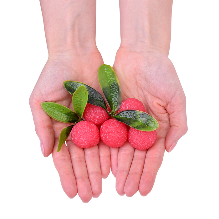 Фото к товару Игрушка -антистресс 00-5509 "Ягодки с листочками" в пакете Игрушка -антистресс 00-5509 "Ягодки с листочками" в пакете