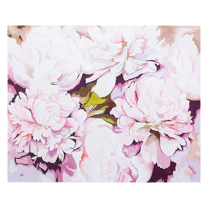 Фото к товару Холст с красками 40х50 по номерам "Бледные пионы" (в коробке) (30цв.) Холст с красками 40х50 по номерам "Бледные пионы" (в коробке) (30цв.)
