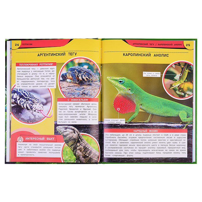 Фото к товару Самые необычные рептилии и амфибии. Энциклопедия. Самые необычные рептилии и амфибии. Энциклопедия.