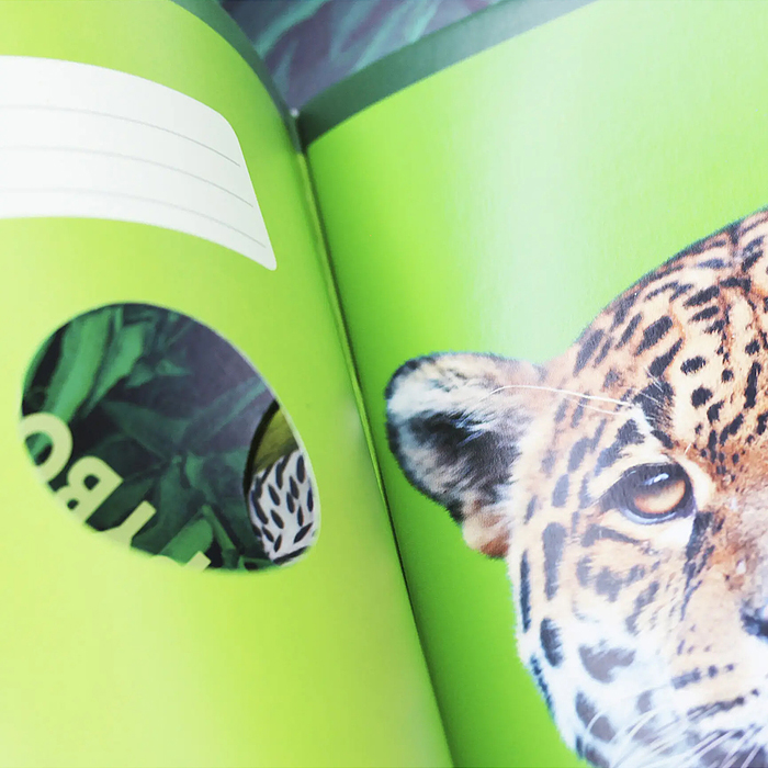 Фото к товару Тетрадь 48л. "Jungle" клетка, скрепка, двойная обложка Тетрадь 48л. "Jungle" клетка, скрепка, двойная обложка