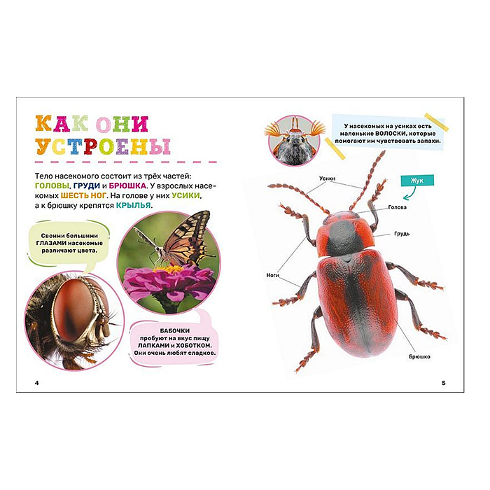 Фото к товару Первая энциклопедия малыша "Насекомые" Первая энциклопедия малыша "Насекомые"