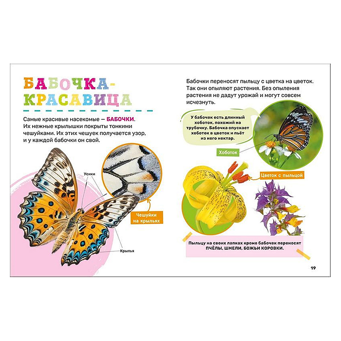 Фото к товару Первая энциклопедия малыша "Насекомые" Первая энциклопедия малыша "Насекомые"