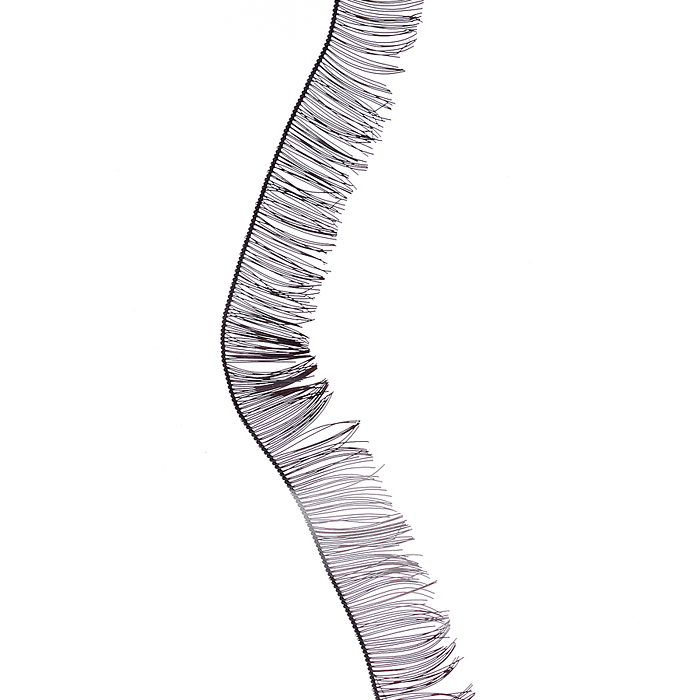 Фото к товару Реснички декоративные, из синтетических волокон шириной 8 мм, длина тесьмы 20 см, черные, в Реснички декоративные, из синтетических волокон шириной 8 мм, длина тесьмы 20 см, черные, в