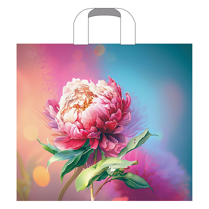 Пакет ПЭ с петлевой ручкой 38х34+3см (70) (Сандра) Пакет ПЭ с петлевой ручкой 38х34+3см (70) (Сандра)