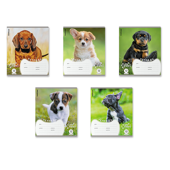 Тетрадь 12 л. линейка "Щенки" Тетрадь 12 л. линейка "Щенки"