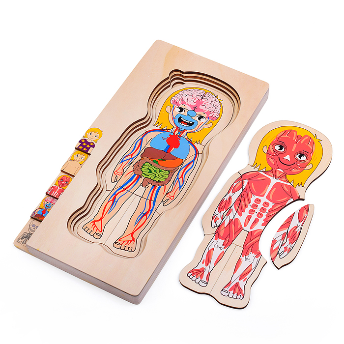 Пазл-вкладыш D2038 "Девочка"