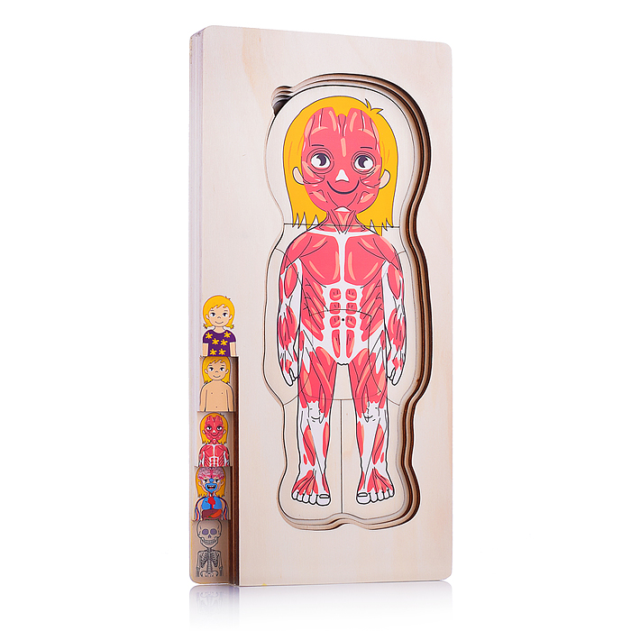 Пазл-вкладыш D2038 "Девочка"