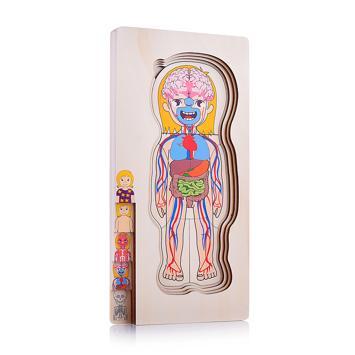 Пазл-вкладыш D2038 "Девочка"