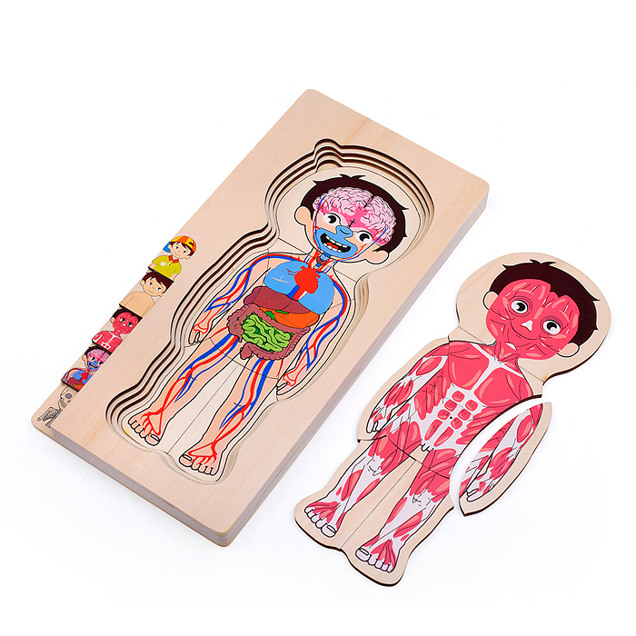 Пазл-вкладыш D2039 "Мальчик