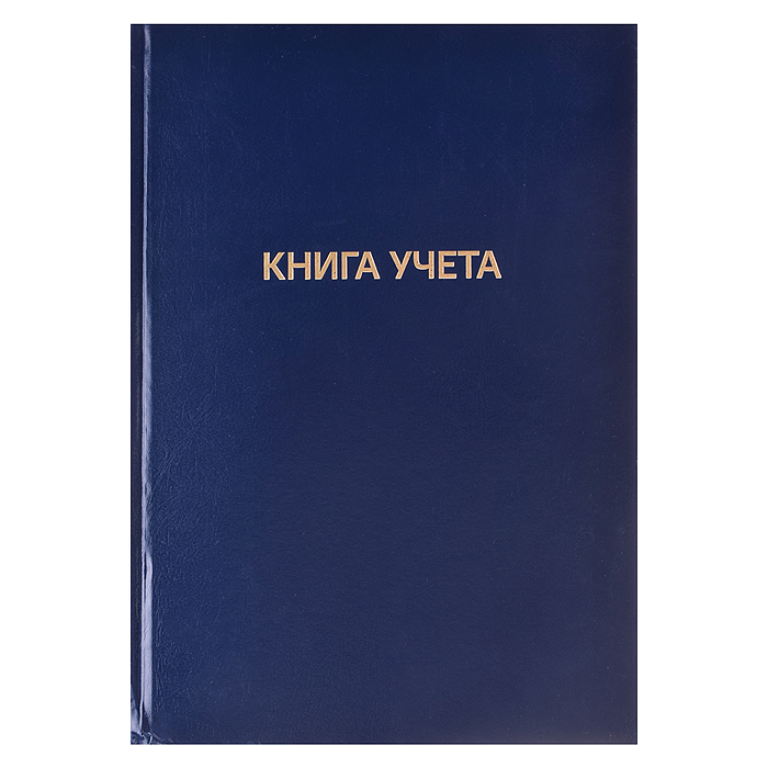 Книга учета A4 144 л в клетку, офсет 60 г/м², 92% белизна, твердая обложка из бумвинила, т