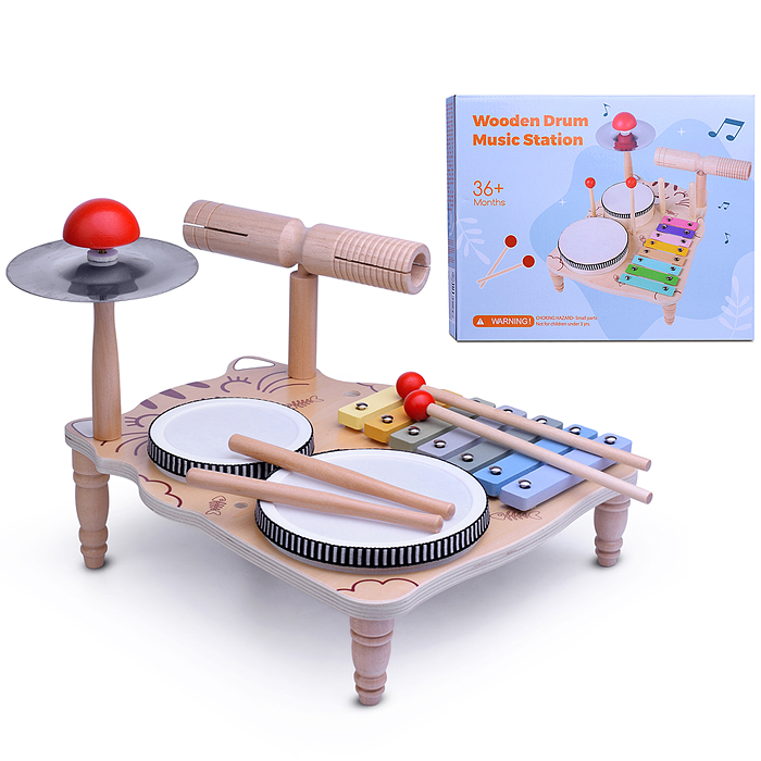 Набор инструментов D1731 "Музыкант" Набор инструментов D1731 "Музыкант"