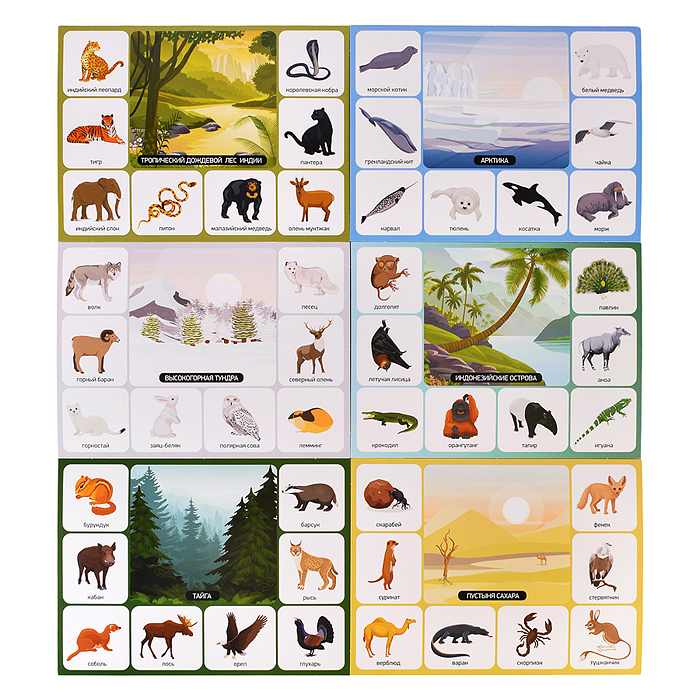 Фото к товару Лото "Кто где живет" (большое) Лото "Кто где живет" (большое)