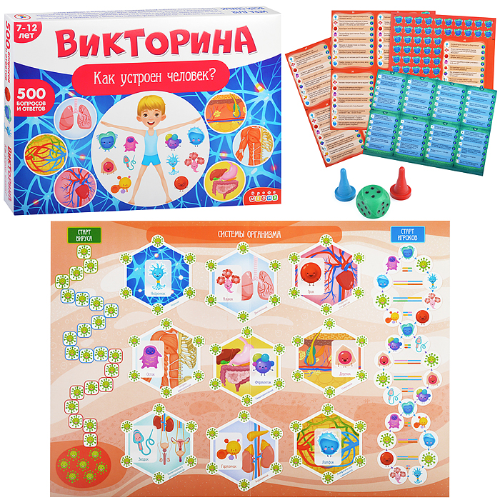 Викторина. Как устроен человек? Викторина. Как устроен человек?