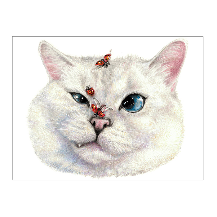 Фото к товару Холст с красками 17х22 по номерам "Мордашка кота" (13цв.) Холст с красками 17х22 по номерам "Мордашка кота" (13цв.)